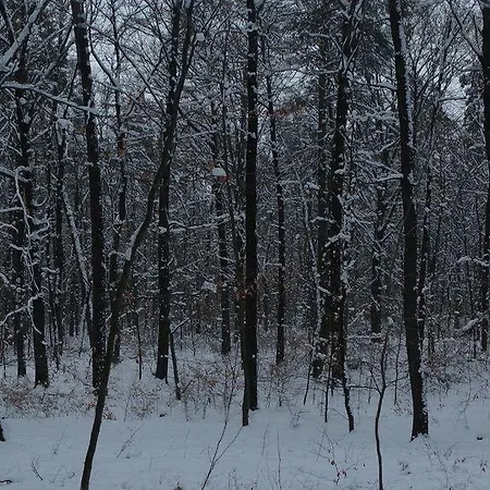 Hotel apartamentowy Hotel-appartement-villa Ulenburg