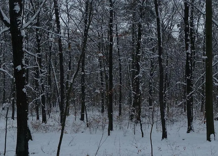 Ξενοδοχείο με διαμερίσματα Hotel-appartement-villa Ulenburg